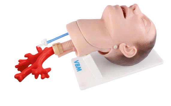 Fantomy i trenażery