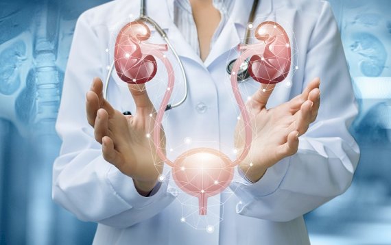 Urologia, andrologia